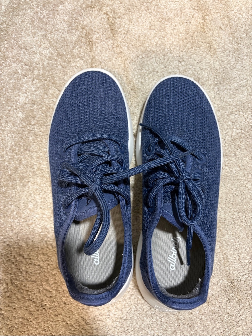 allbirds Navy tree runners sneakers